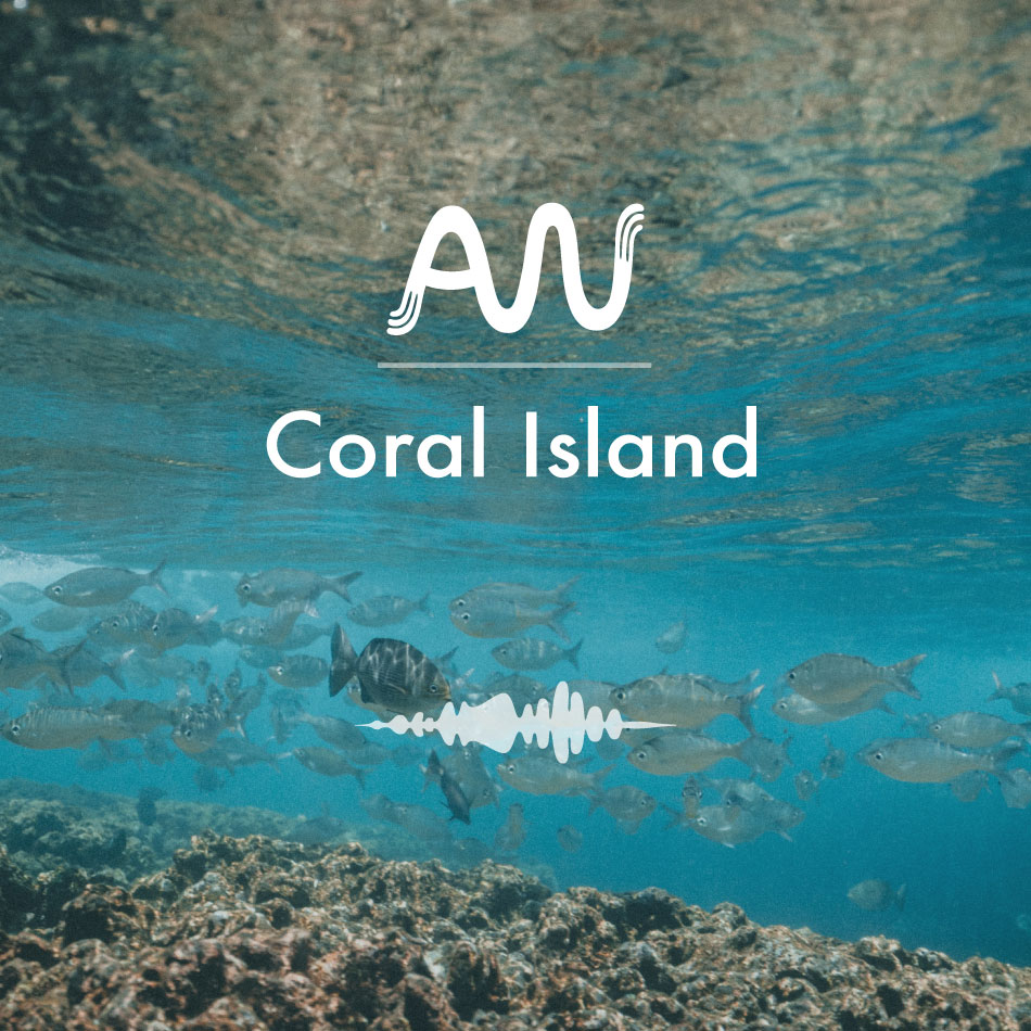 Coral Island track cover art
